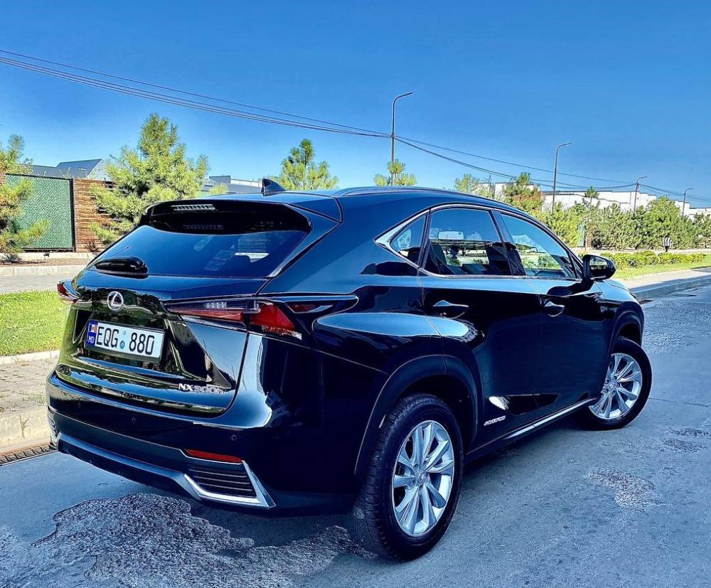 Lexus NX300H F Sport Black NX300H F Sport Black